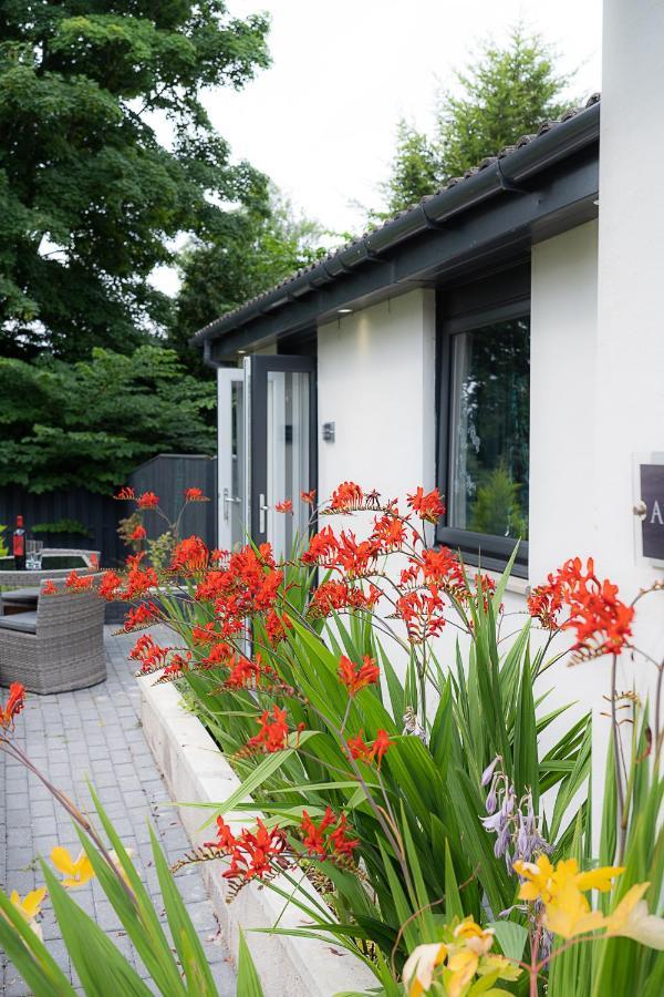 Aurora Suite B&B Coupar Angus Buitenkant foto